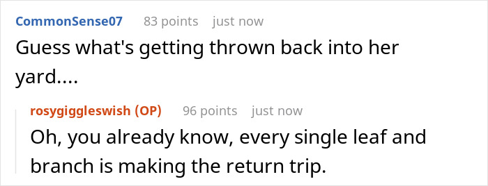 Comment thread showing a homeowner laughing in entitled neighbor&rsquo;s face after she asks them to move their fence for her view.