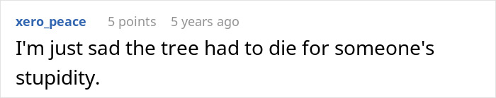 Screenshot of an online comment discussing the consequences of a jealous neighbor cutting down trees, leading to a six-figure fine. Screenshot of an online comment discussing the consequences of a jealous neighbor cutting down trees, leading to a six-figure fine.