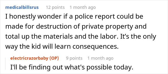 Reddit conversation about consequences for a grieving son after his sister burns her kid's bag.