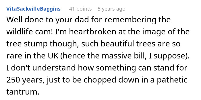 Comment about a tree stump and a massive fine after a jealous neighbor cut down trees in a dispute. Comment about a tree stump and a massive fine after a jealous neighbor cut down trees in a dispute.