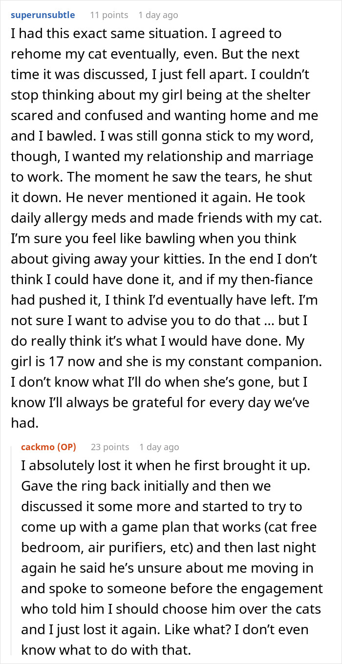 Fianc&eacute;e Left Shocked After Guy Demands Her 4 Senior Cats Be Rehomed Before Wedding