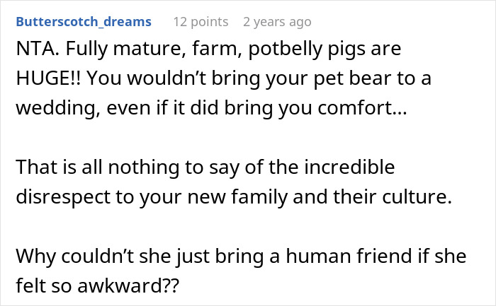 Reddit comment discussing the size of potbelly pigs and their impact at weddings involving a pet pig.
