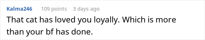Text comment about a cat being loved loyally, contrasting with a boyfriend's actions, related to a relationship ending over a cat gift. Text comment about a cat being loved loyally, contrasting with a boyfriend's actions, related to a relationship ending over a cat gift.