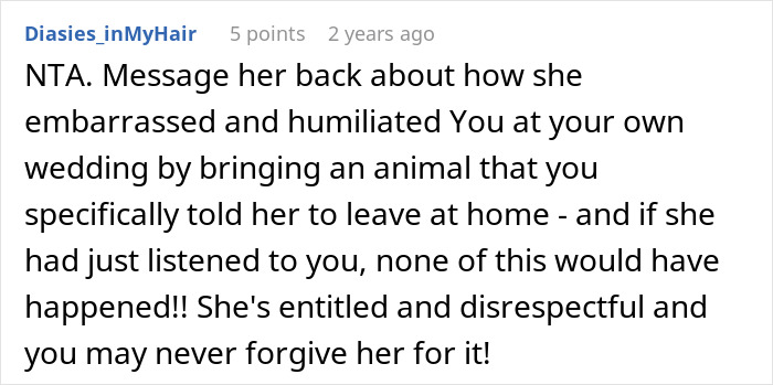 Mother humiliated in front of wedding guests after her pet pig ruins daughter's special day, causing embarrassment and conflict.