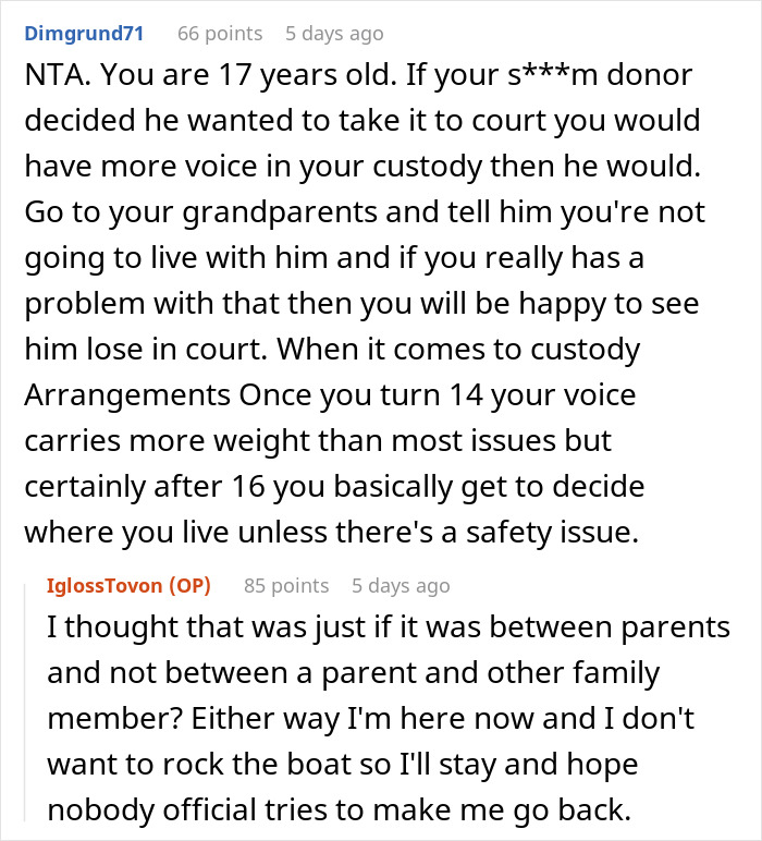 Reddit comments discussing teen escaping dad&rsquo;s babysitting trap and custody rights at age 17.