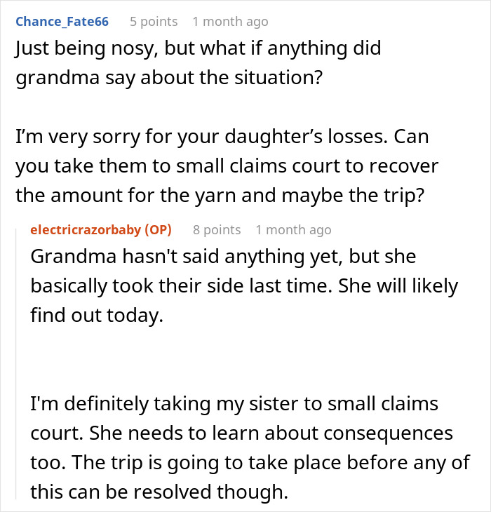 Reddit user discusses widow's excuses for grieving son after sister burns her kid's bag, mentioning small claims court action.