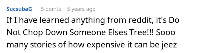 Reddit comment warning about costly consequences of chopping down a neighbor’s trees due to jealousy and disputes. Reddit comment warning about costly consequences of chopping down a neighbor’s trees due to jealousy and disputes.