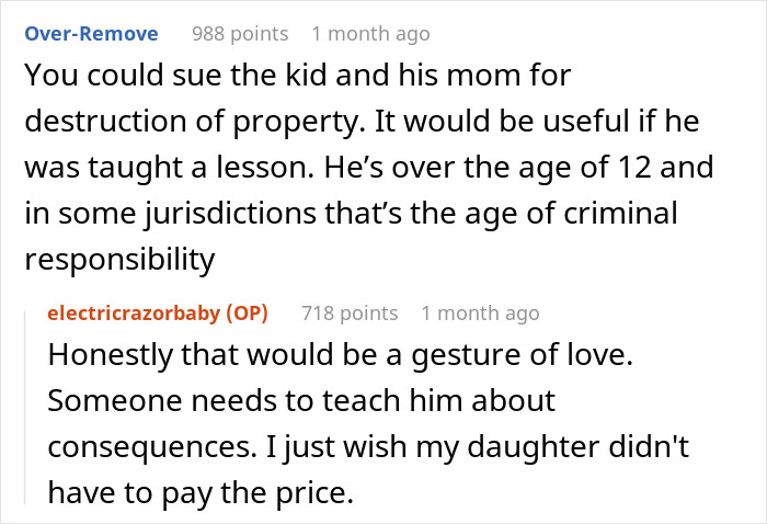 Comments discussing consequences and legal actions for a grieving son burning his sibling's bag amid family conflict.