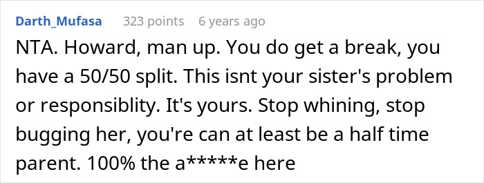Screenshot of a Reddit comment discussing a guy accusing his sister of being a stranger to his kids over childcare duties.