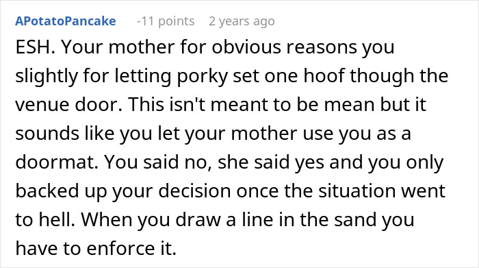 Comment discussing a mother humiliated when her pet pig ruins daughter's wedding during a venue incident.