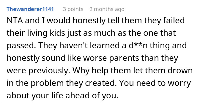 Comment from user Thewanderer1141 discussing refusing to babysit siblings after years of being treated like a stranger. Comment from user Thewanderer1141 discussing refusing to babysit siblings after years of being treated like a stranger.