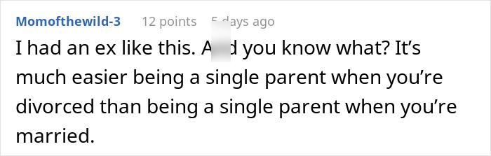 Screenshot of an online comment discussing challenges of being a single parent with a man-child husband during family vacation.