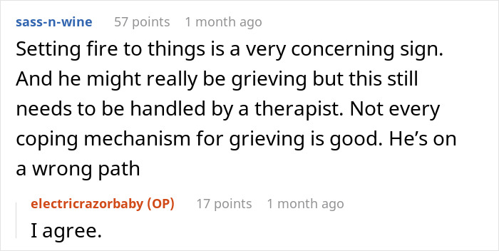 Commenters discuss concerns about a grieving son's harmful behavior and a widow making excuses for him.