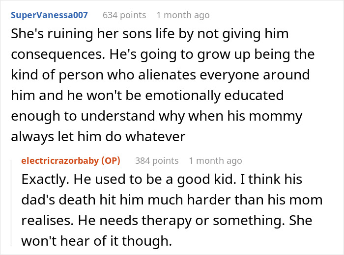 Screenshot of a comment thread discussing a grieving son, his mother's excuses, and sister burning the kid's bag.