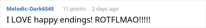 Screenshot of an online comment praising the outcome involving a MIL trying to ruin a wedding and two drag queens intervening.
