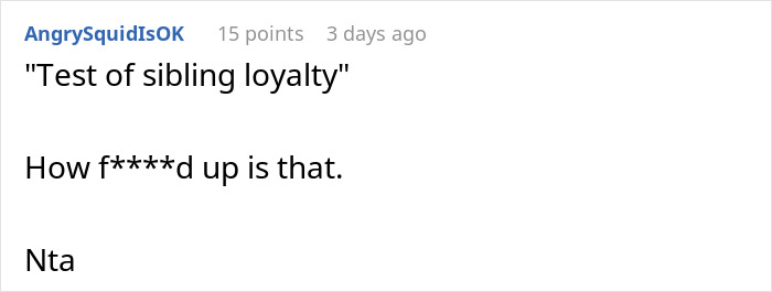 Screenshot of a Reddit comment discussing sibling loyalty in a debate about paying for a Christmas gift trip flight.
