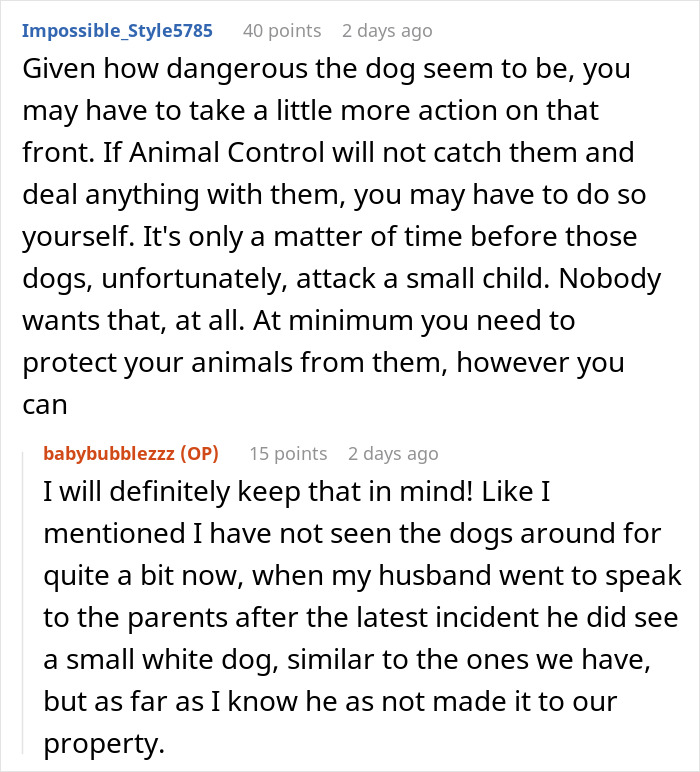 Text conversation about concerns on dangerous dogs and casual neighbor reactions regarding incidents involving pets and safety.