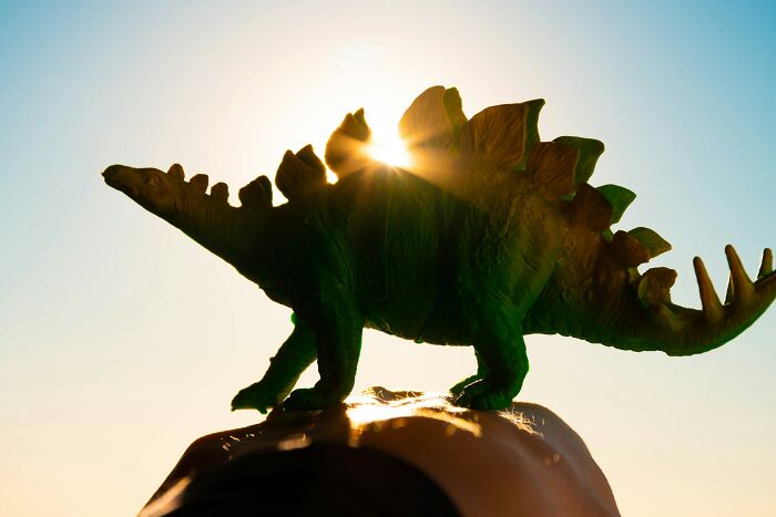 Toy stegosaurus silhouetted against the sun, illustrating the concept time facts with light and shadow effects.