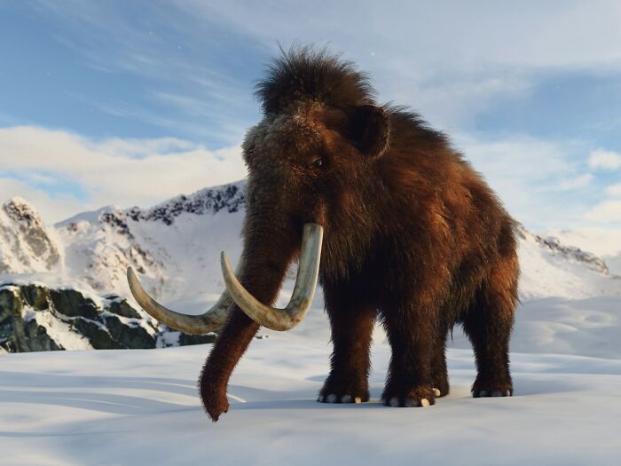 Woolly mammoth standing in a snowy landscape, illustrating concept time facts about prehistoric life and extinction.
