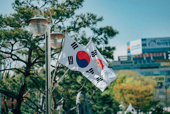 South Korean flags flying near lamp posts with trees and urban buildings in the background, conspiracy theorists concept.