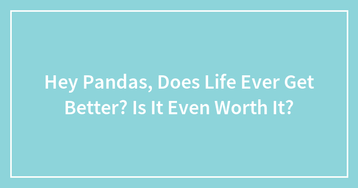 Hey Pandas, Does Life Ever Get Better? Is It Even Worth It?