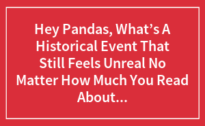 Hey Pandas, What’s A Historical Event That Still Feels Unreal No Matter How Much You Read About It? (Closed)