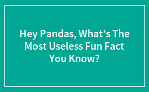 Hey Pandas, What’s The Most Useless Fun Fact You Know? (Closed)