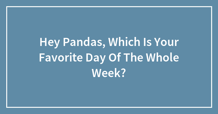 Hey Pandas, Which Is Your Favorite Day Of The Whole Week? (Closed)