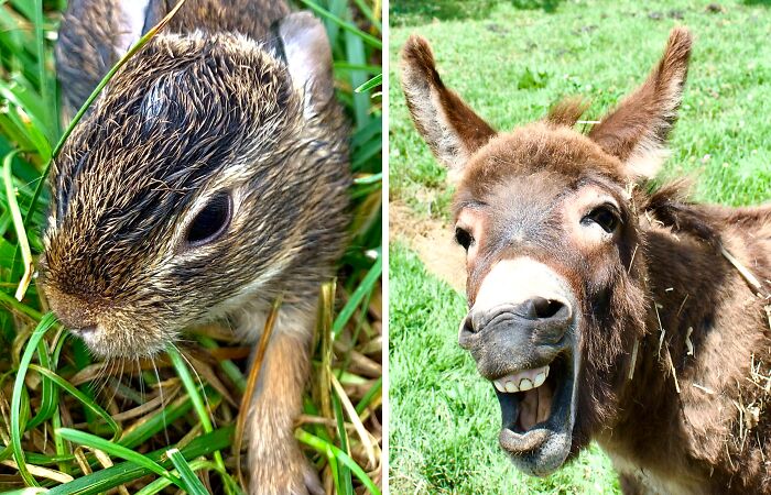 The Visual Poetry Of Nature Seen Through Ilene’s Lens