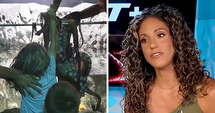 Mom Of 6YO Boy Who Was Attacked By Octopus Accuses Aquarium Of Lying After Viral Incident
