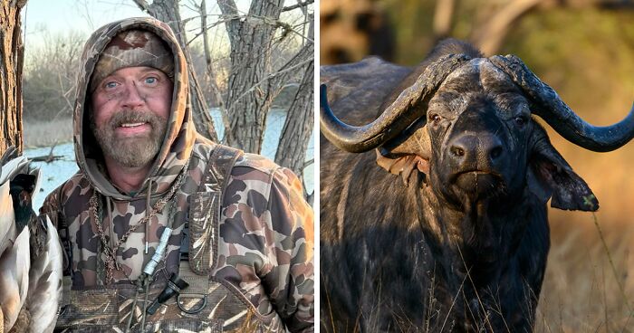 Un búfalo pone fin a un safari de 10.000$ con una cornada fatal a un millonario cazador texano