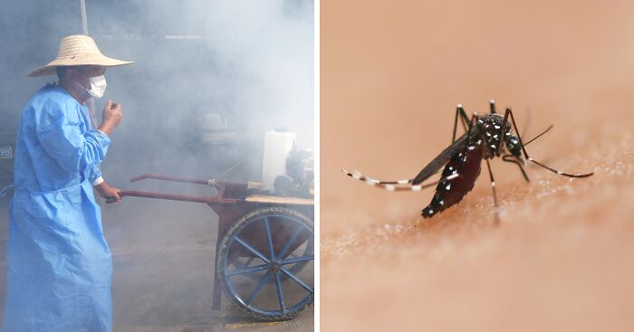 WHO Warns of Global Chikungunya Risk As China Outbreak Surges Past 10,000 And Reaches New Country