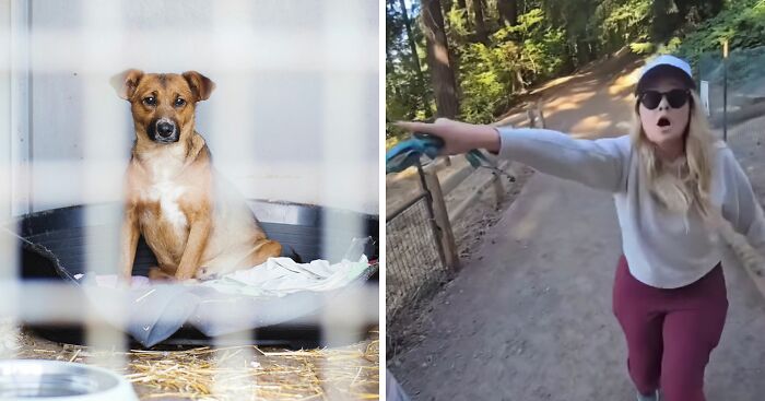 Unhinged ‘Karen’ Explodes At Man Walking His Dog, Then Accuses Him Of Harassment After Being Filmed