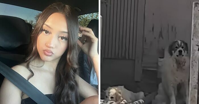 Teen Daughter’s Heartbreaking Question To Mom After Being Mauled By Pack Of Dogs