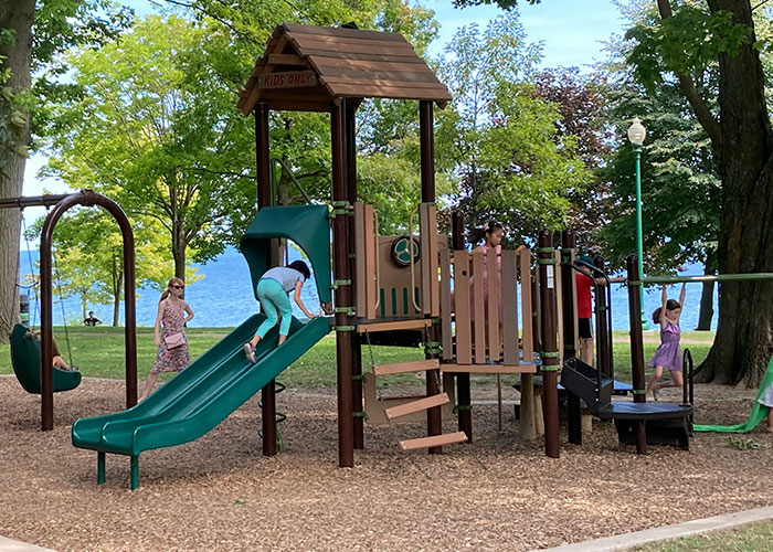 Children playing on a playground with slides and swings, enjoying outdoor fun near a lake under green trees.