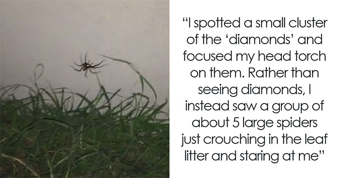 40 Creepiest Things People Have Seen While Alone in Nature