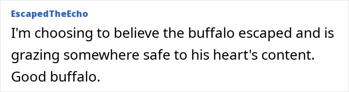 Comment about buffalo escape, praising it, in black text on white background with username EscapedTheEcho in blue.