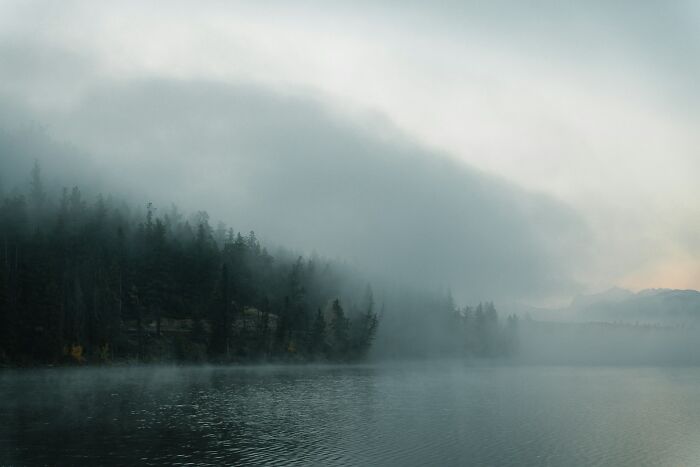 Misty forest along calm lake shore with fog and overcast sky, evoking mystery in videos that need more context. - 20