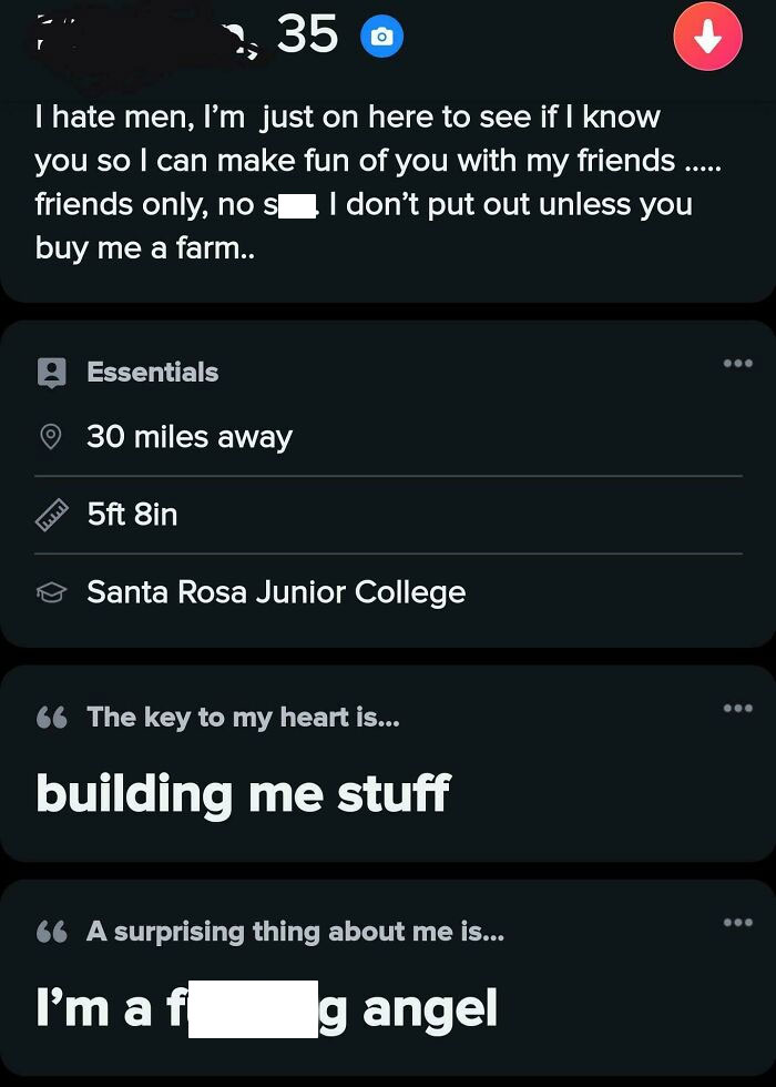 Screenshot from dating profile showing toxic behavior and statements reflecting the theme of nice girls being as toxic as nice guys.
