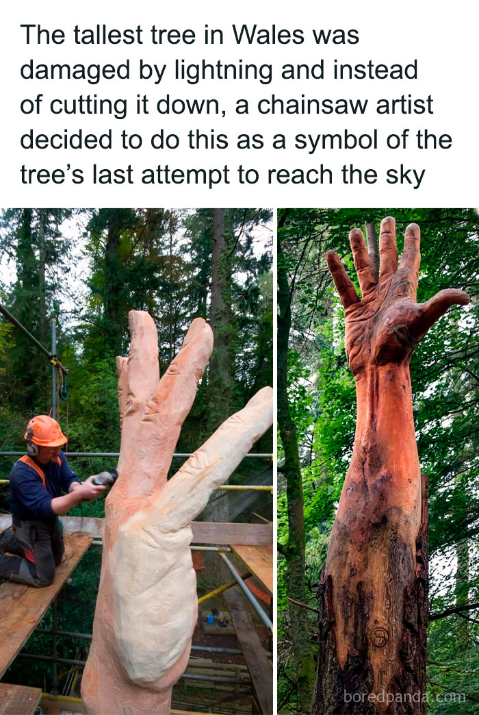 Chainsaw artist creates a giant hand sculpture from the tallest tree in Wales, showcasing ingenious crafty ideas on this IG account.