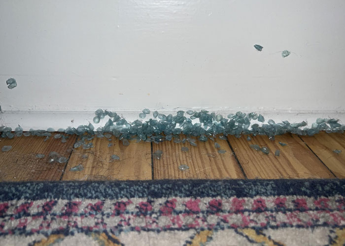Scattered glass shards on wooden floor near wall and carpet, symbolizing disgusting things discovered about friends.