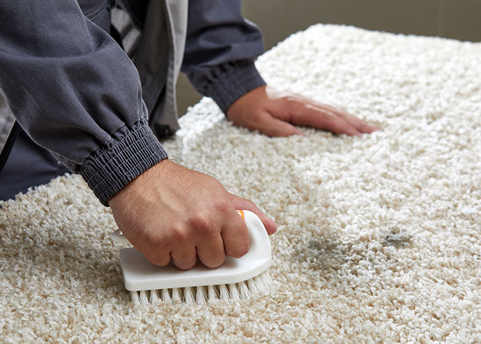 Person scrubbing a white carpet with a brush to remove disgusting stains found that made them rethink the relationship with friends