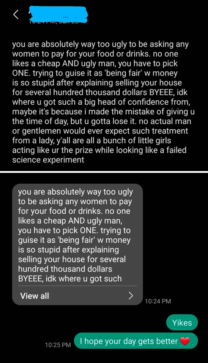 Screenshot of a harsh text exchange highlighting delusional behavior in an online argument.