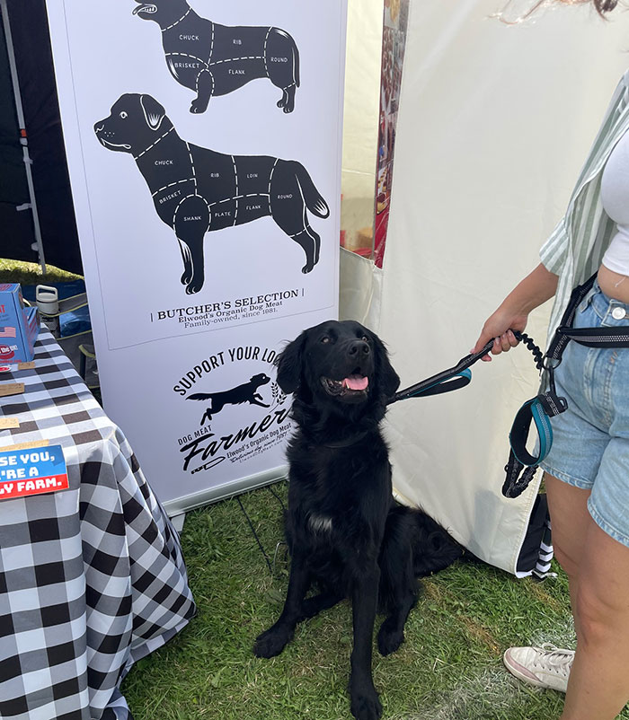 Black dog sitting next to a butcher's selection chart with dog meat farm signage and a person holding the leash. - 3