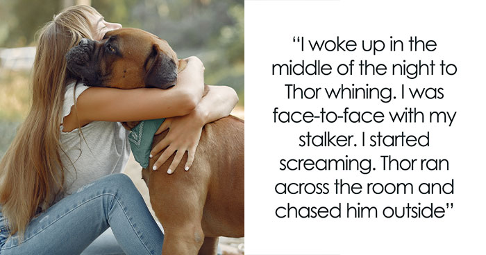 Woman Gets Saved By Her Dog From Her Long-Term Stalker, Is Upset By Brother And SIL’s Reaction