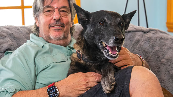 Loyal dog with a hero&rsquo;s smile sitting on owner&rsquo;s lap after confronting a raging bull to protect his family
