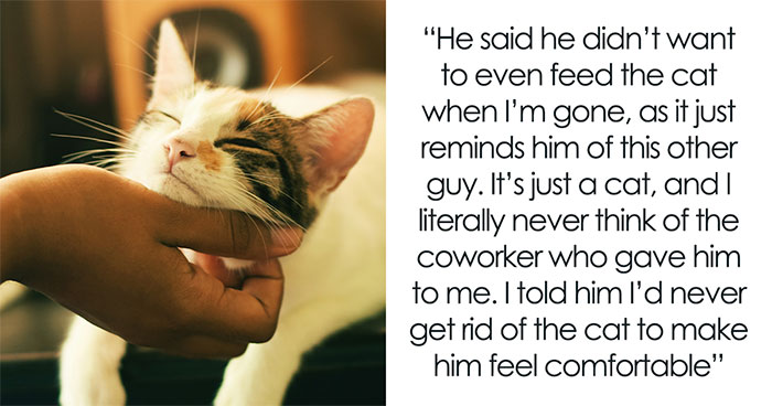 Manipulative Boyfriend Tries Forcing GF To Give Up Her Cat, She Quits The Relationship Instead