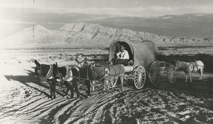 Historic image of two men with horse-drawn covered wagons on dusty land showing the birth of Vegas.
