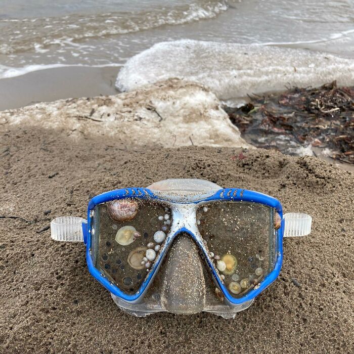 Blue diving mask covered in sand and shells found at the beach with waves and seaweed in the background.
