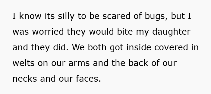 Text about a woman worried about bugs biting her daughter, with welts on their arms, necks, and faces.